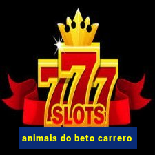 animais do beto carrero